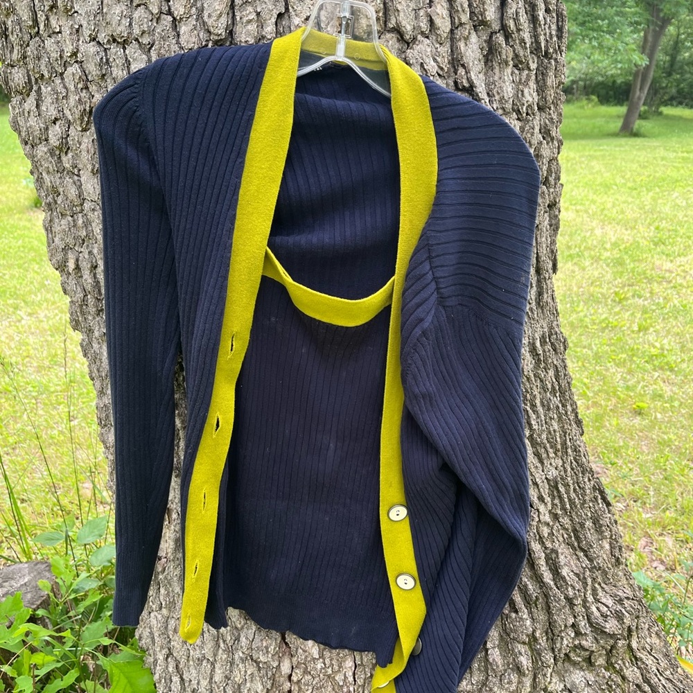 Old Navy Twinset in size L